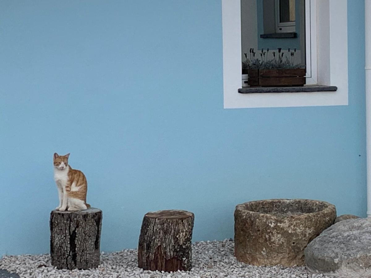 Monte Clerigo Casas De Campo Almodôvar エクステリア 写真